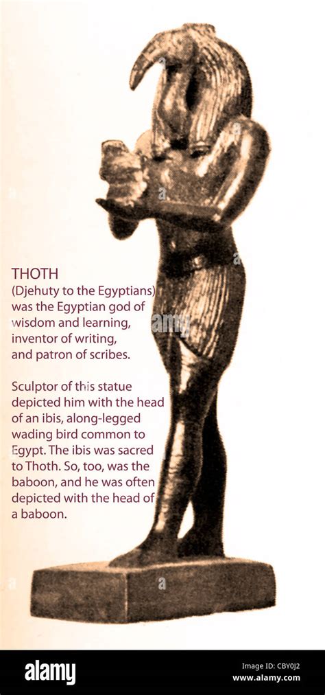 Thoth, der ägyptische Ibis